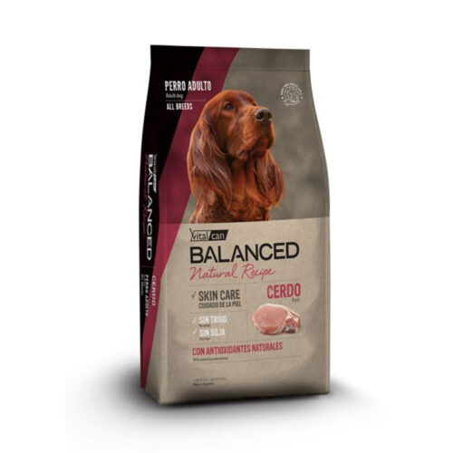 Vital Can Balanced Natural Recipe Cerdo x 15kg