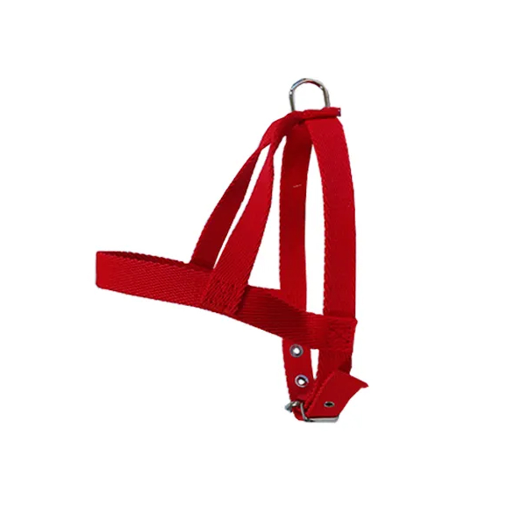 Pretal N3 (43 cm x 2 cm)