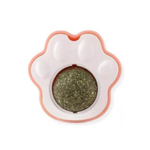 Catnip para gato 1
