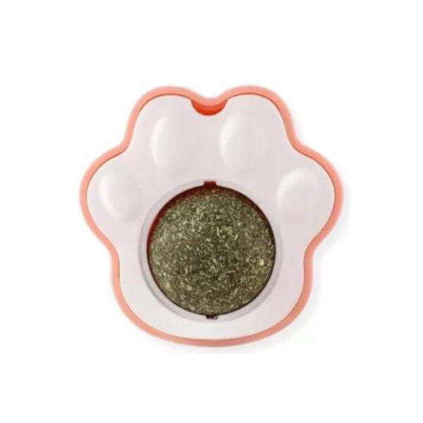 Catnip para gato 1