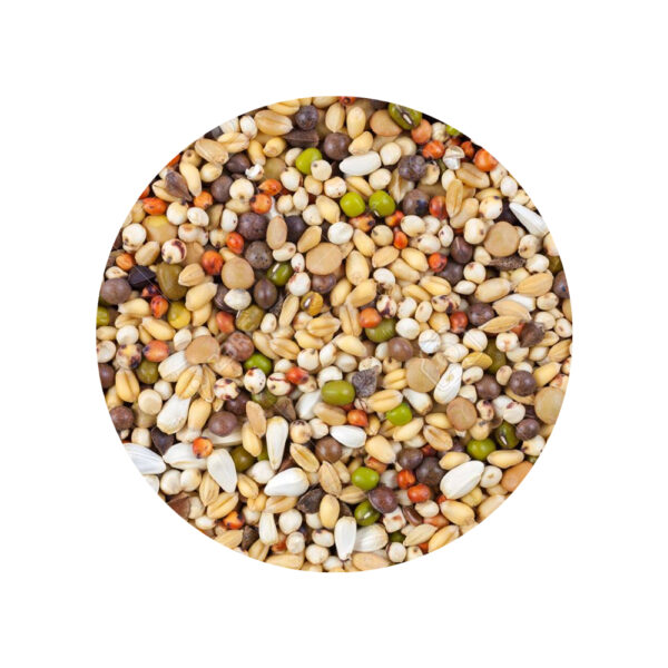 Mezcla Paloma / Gallina x 20 kg