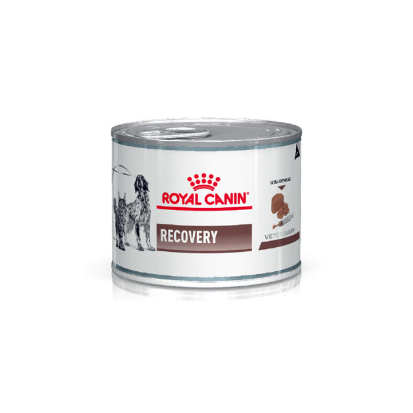 Lata Royal Canin Recovery Perro/Gato x U