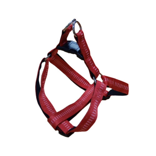 Arnes beta Arnes Beta